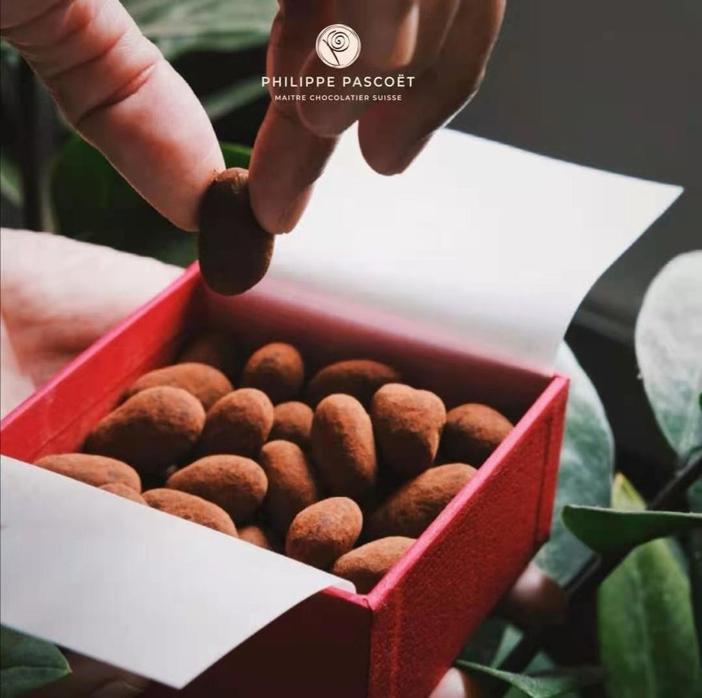 Chocolate Coated Almonds